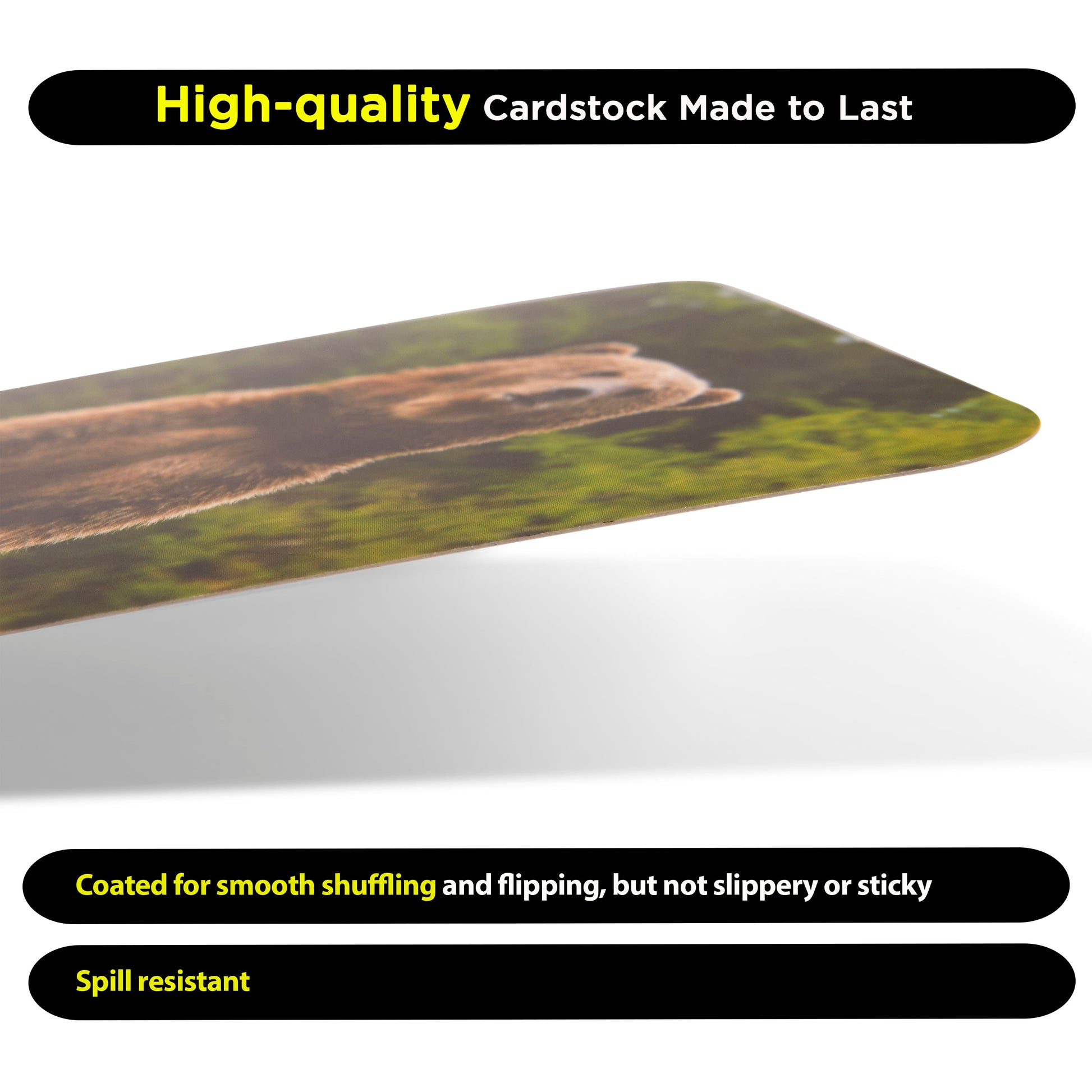 500+ Sight Words Flash Cards Bundle (Preschool, Kindergarten, 1St, 2Nd & 3Rd Grade) Fry & Dolch High Frequency Site Word Set